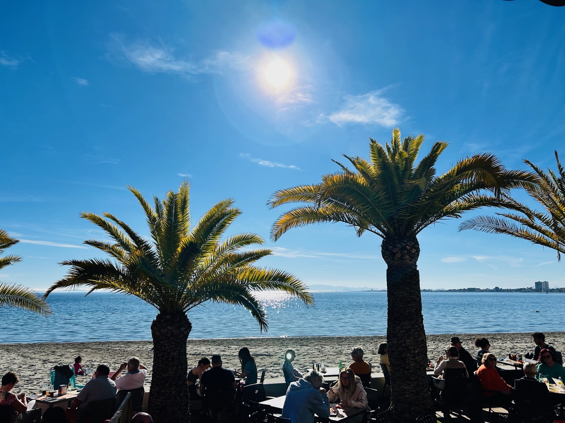 Palmer og strand ved det rolige vannet i Mar Menor