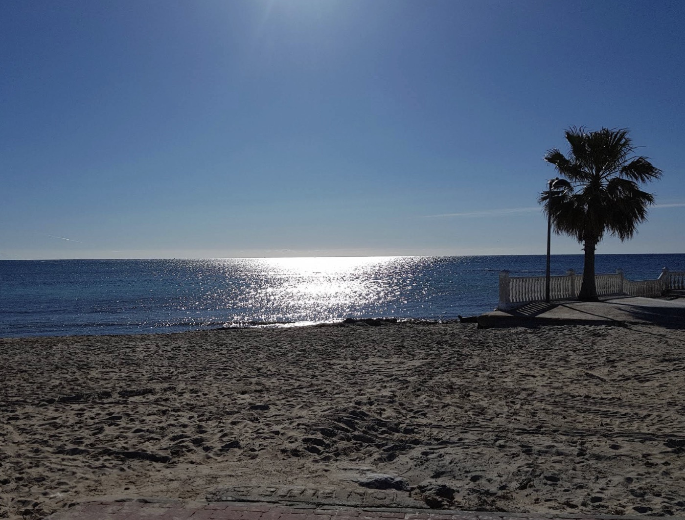 Sandstrand med glitrende Middelhav og palme