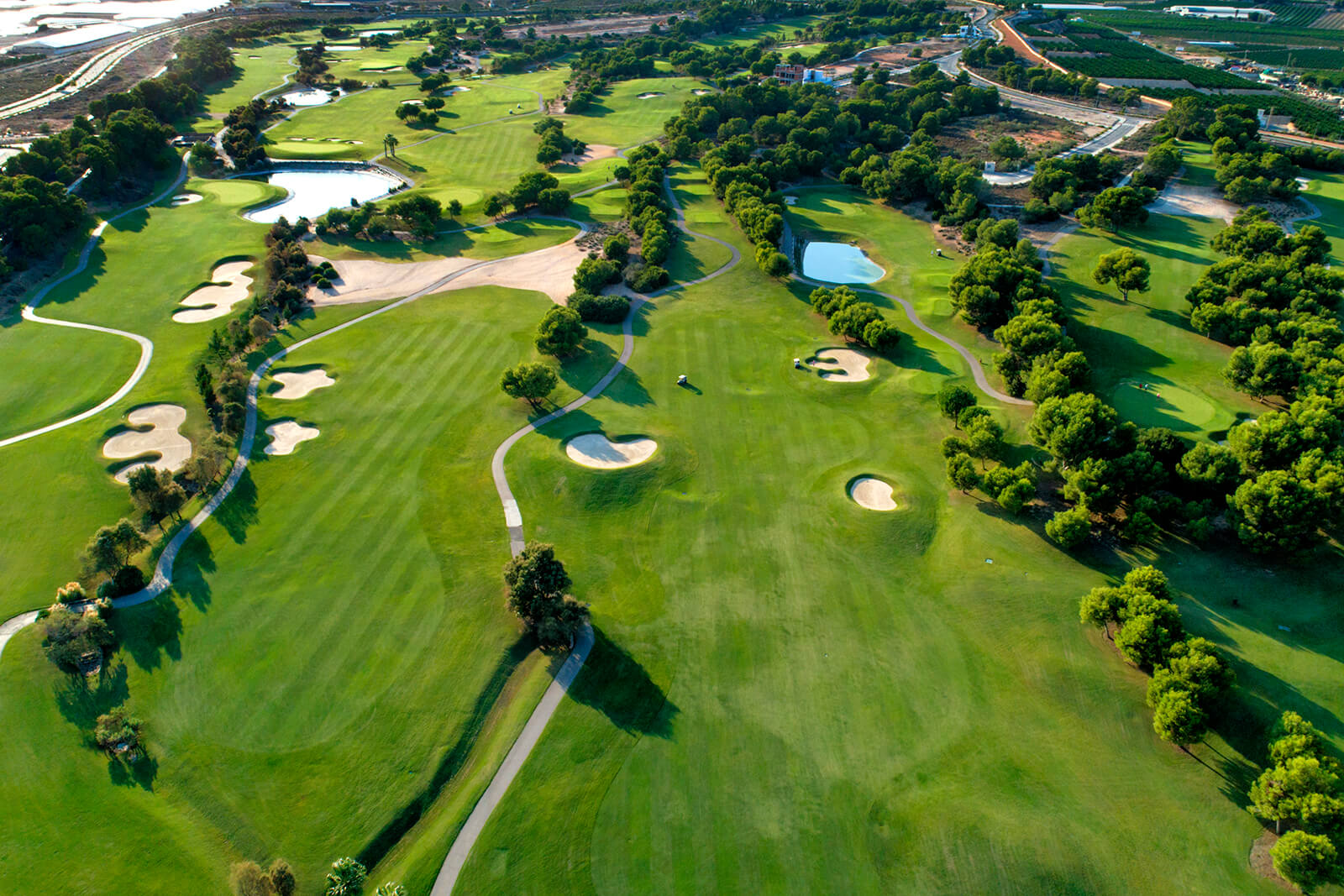 Golfbanen Lo Romero i det grønne landskapet ved Pilar de la Horadada